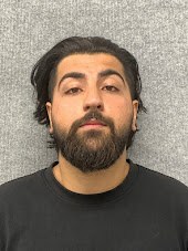 Booking photo of Armin Abbasi