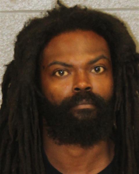 Booking photo of Long Vu