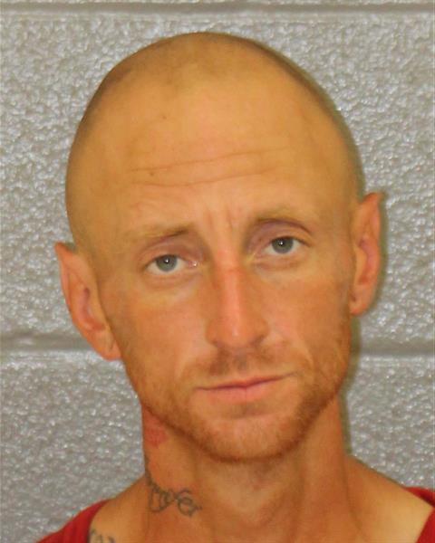 Booking photo of Danyel Gout
