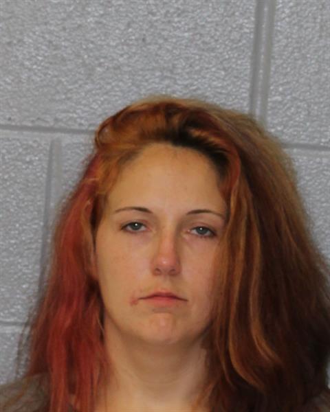 Booking photo of Cheyanne Phifer