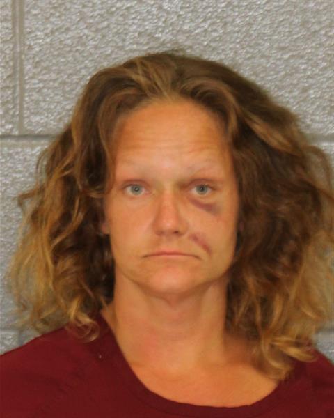 Booking photo of Robyn Polite