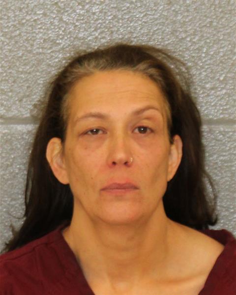 Booking photo of Kara Babcock