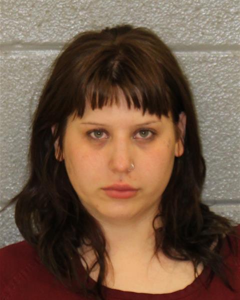Booking photo of Nicole Bale