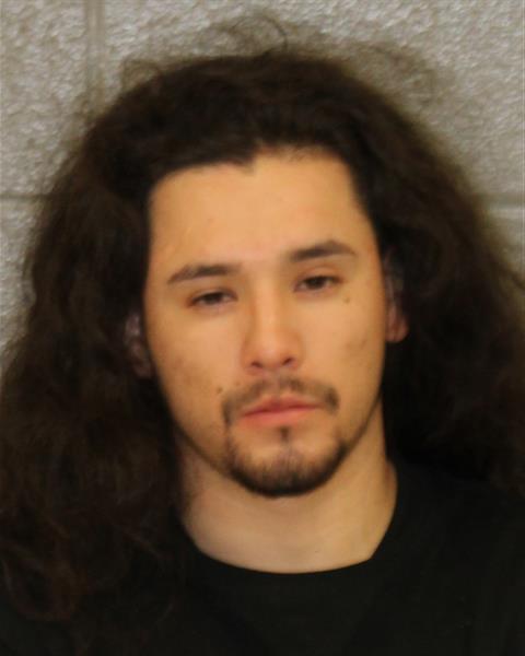 Booking photo of Rolando Rosales