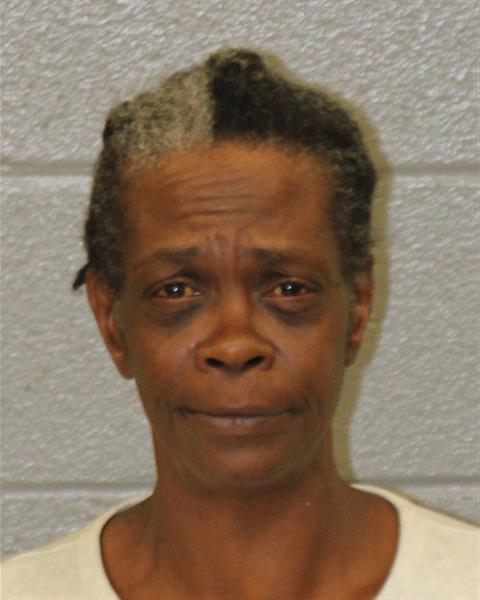 Booking photo of Danielle Hoe