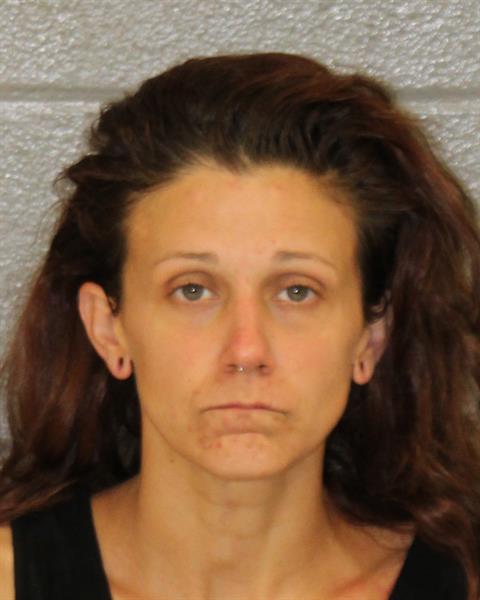 Booking photo of Andrea Holland