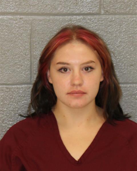 Booking photo of Lia Haigler