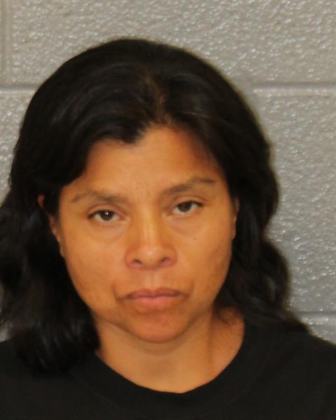 Booking photo of Fany Maldonado-ramirez