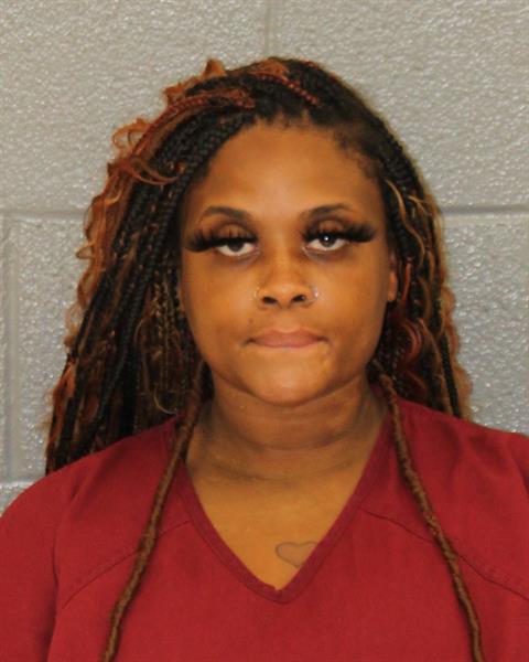 Booking photo of Fredtavia Dixon