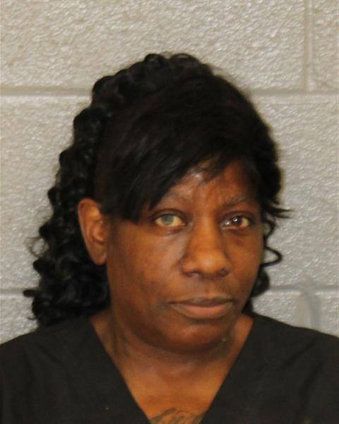 Booking photo of Nicole Hamberry