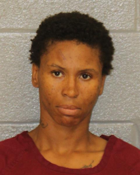 Booking photo of Michelle Mccorey