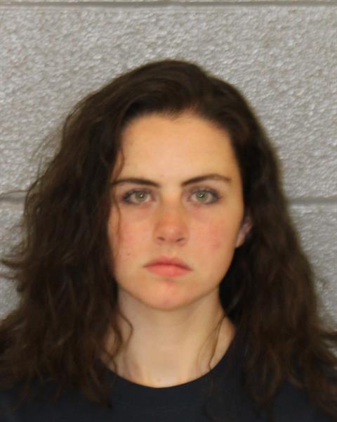 Booking photo of Riley Dunham