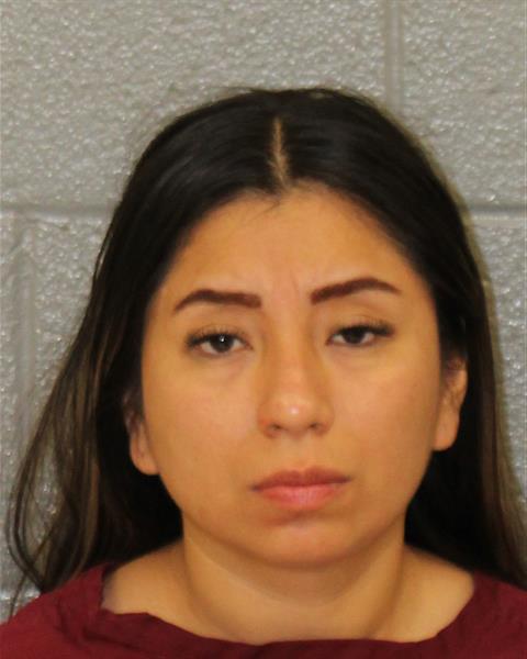 Booking photo of Mayra Castaneda