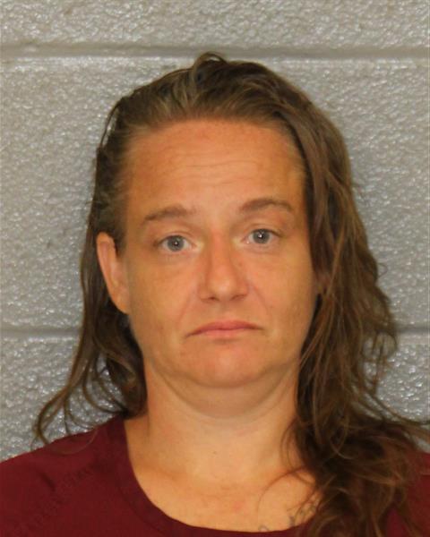 Booking photo of Stephanie Towles