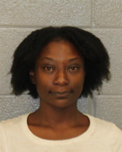 Booking photo of Dainora Terry