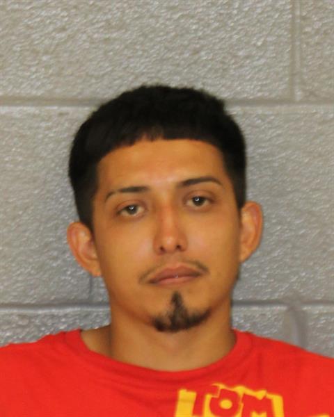 Booking photo of Alisson Chicas-aguilar