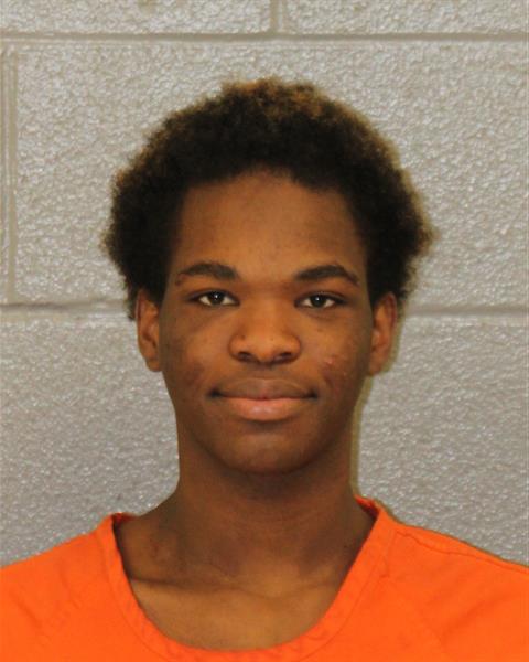 Booking photo of Silvano Semedo