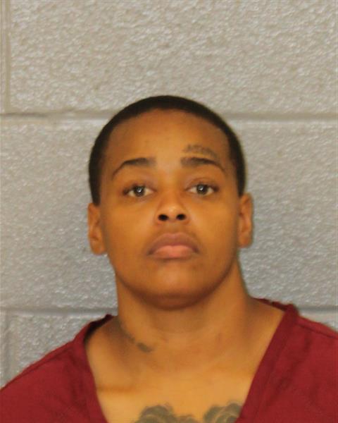 Booking photo of Lametris Turner
