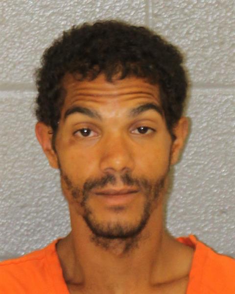 Booking photo of Sergio Grugan