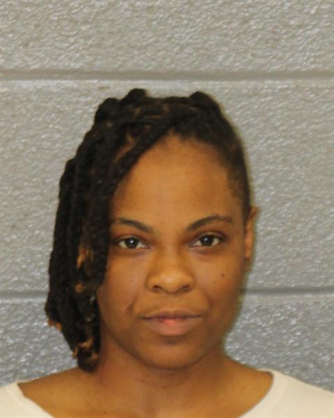 Booking photo of Natasha Davis