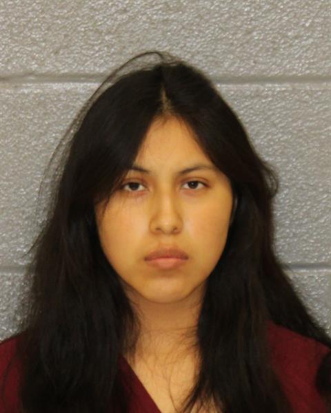 Booking photo of Rosa Vilchis