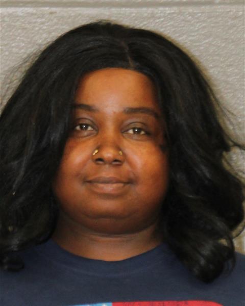 Booking photo of Camisha Lewis