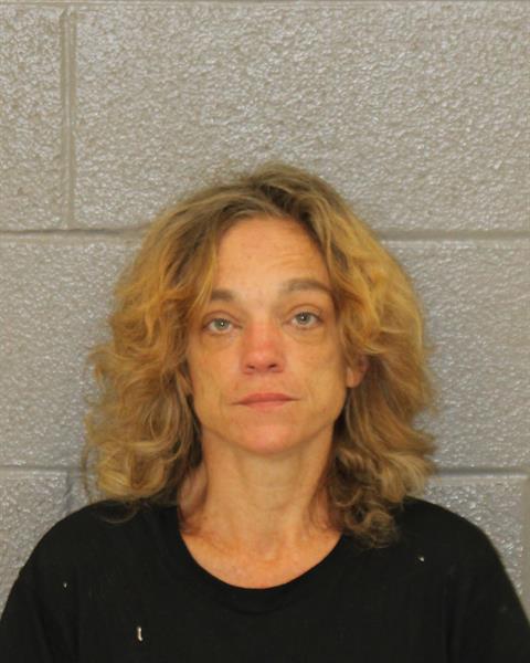 Booking photo of Shannon Leavitt
