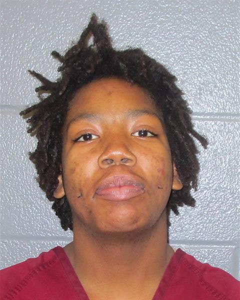 Booking photo of Antoinette Gray