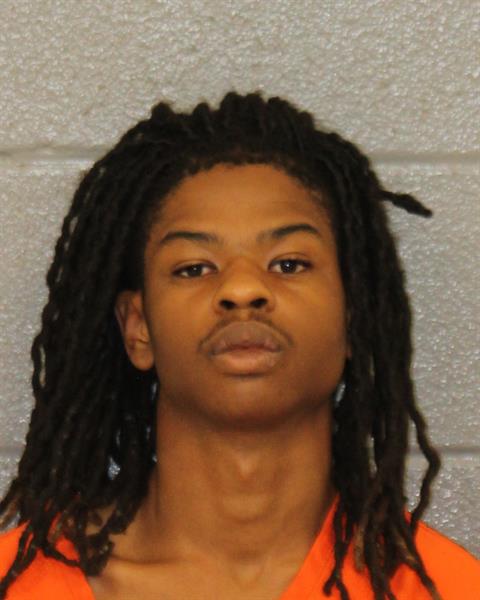 Booking photo of Ayden Wilson