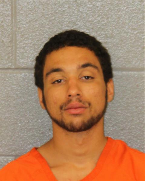 Booking photo of Prince Austin