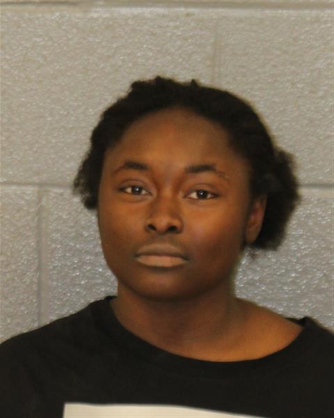 Booking photo of Heavyn Roundtree