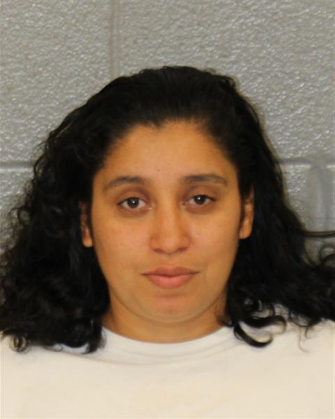 Booking photo of Lucia Castro-fuentes