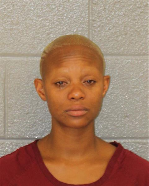 Booking photo of Diana Messah