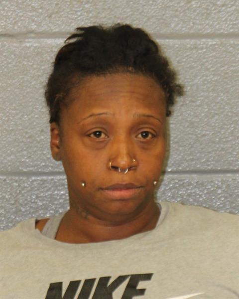 Booking photo of Erica Seegars