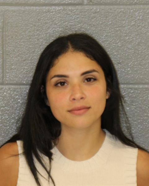 Booking photo of Roused Lebron-torres
