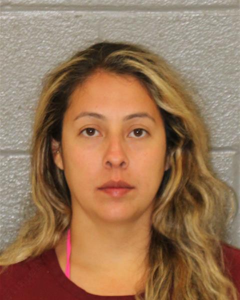 Booking photo of Michelle Zamarron