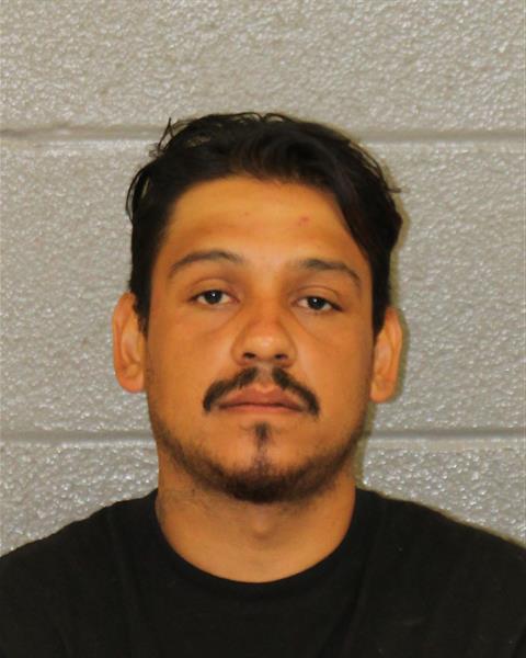Booking photo of Jose Gea