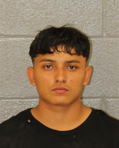 Booking photo of Darby Albizurez-calderon