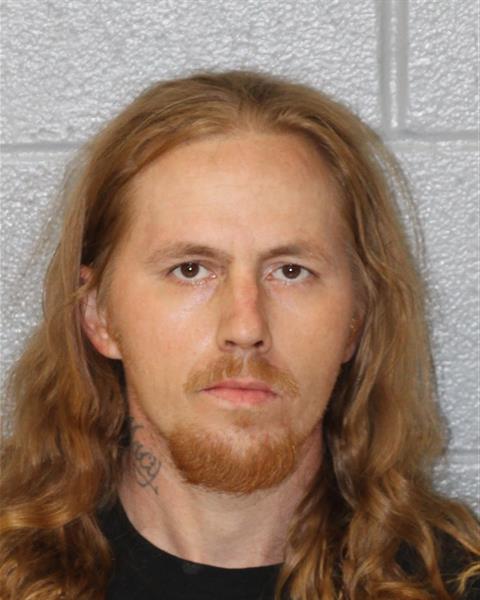 Booking photo of Dillon Helms