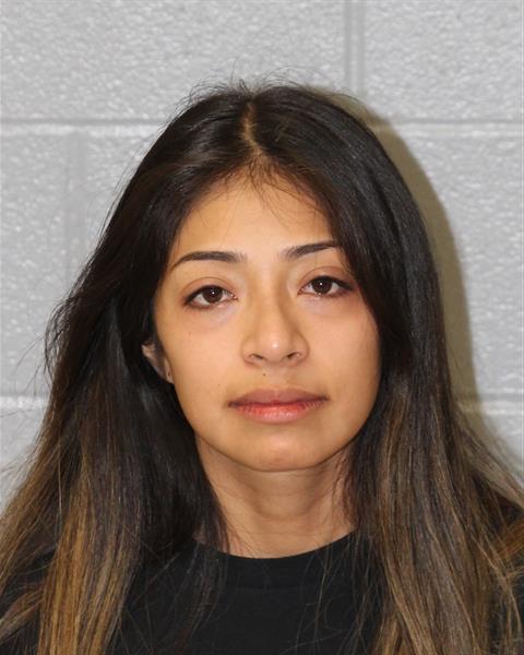 Booking photo of Areli Peru-silverio