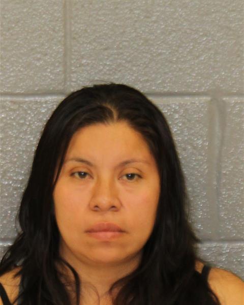 Booking photo of Edelmira Velasquez-morales