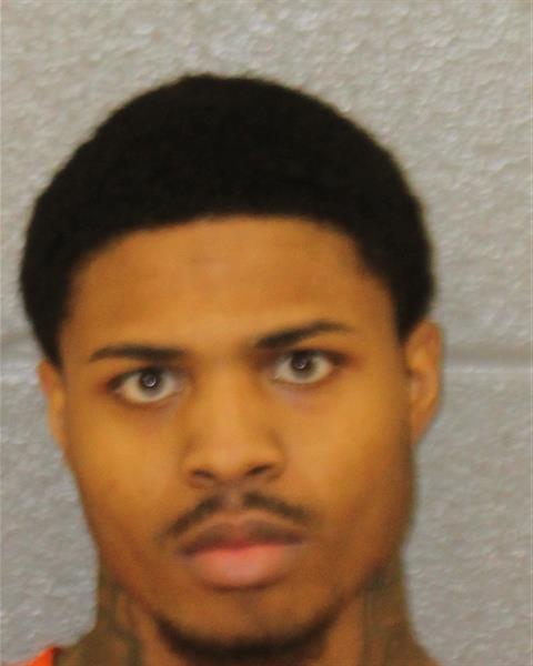 Booking photo of Dailyn Young