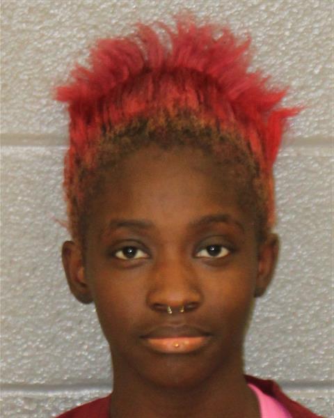 Booking photo of Jakayla Johnson