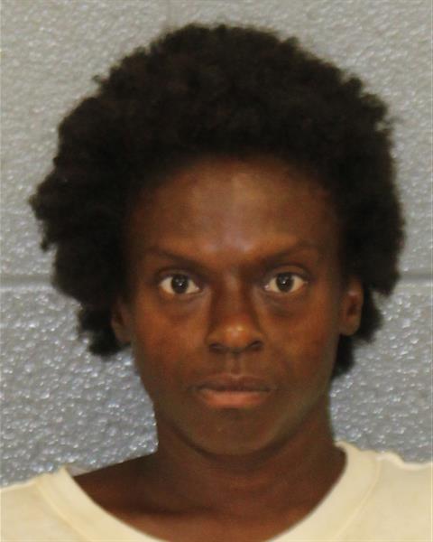 Booking photo of Jessica Johnson