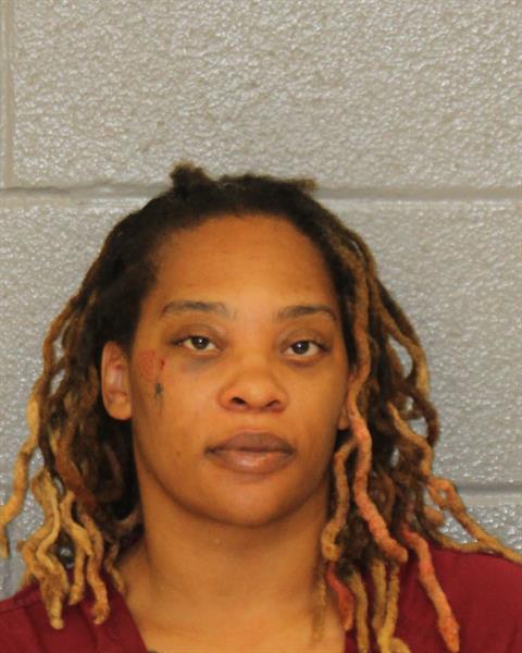 Booking photo of Tiara Johnson