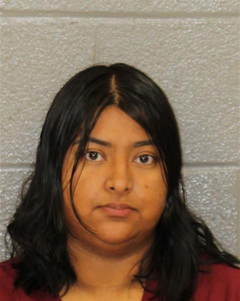 Booking photo of Litzi Torres-lobos
