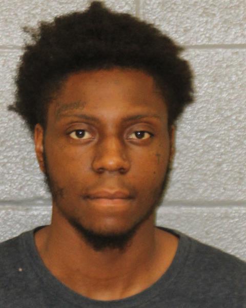 Booking photo of David Gochette