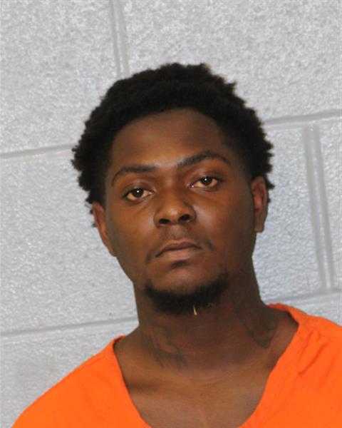 Booking photo of Kaylin Lee