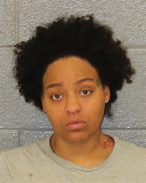Booking photo of Terri Mcmickens