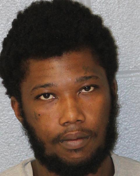 Booking photo of Devonyea Johnson